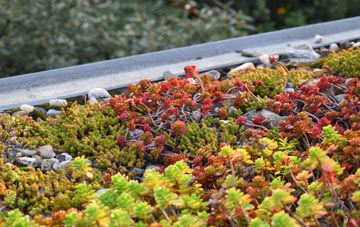 the cost of Maer green roof installation
