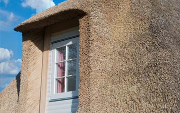 Maer thatch roof disadvantages