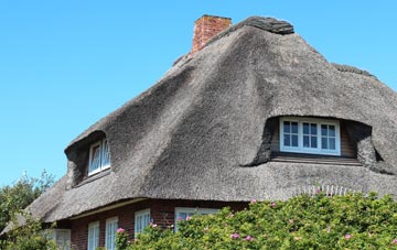 thatch roofing Maer